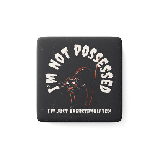 I’m Not Possessed, I’m Just Overstimulated - Magnet